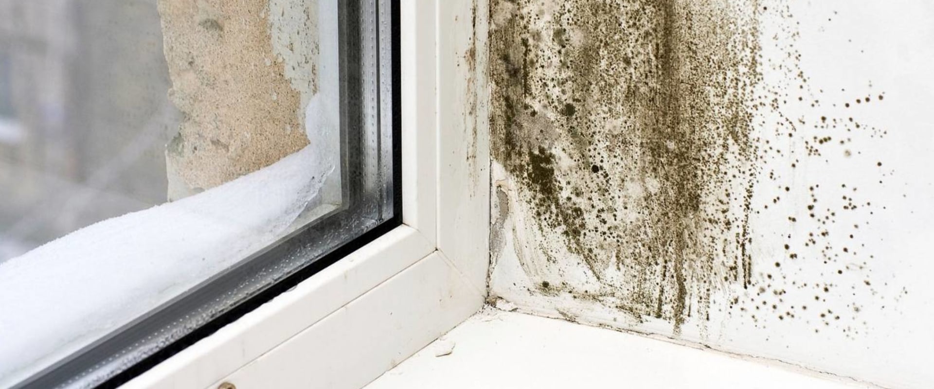 What Are the Dangers of Sleeping in a House with Mold?