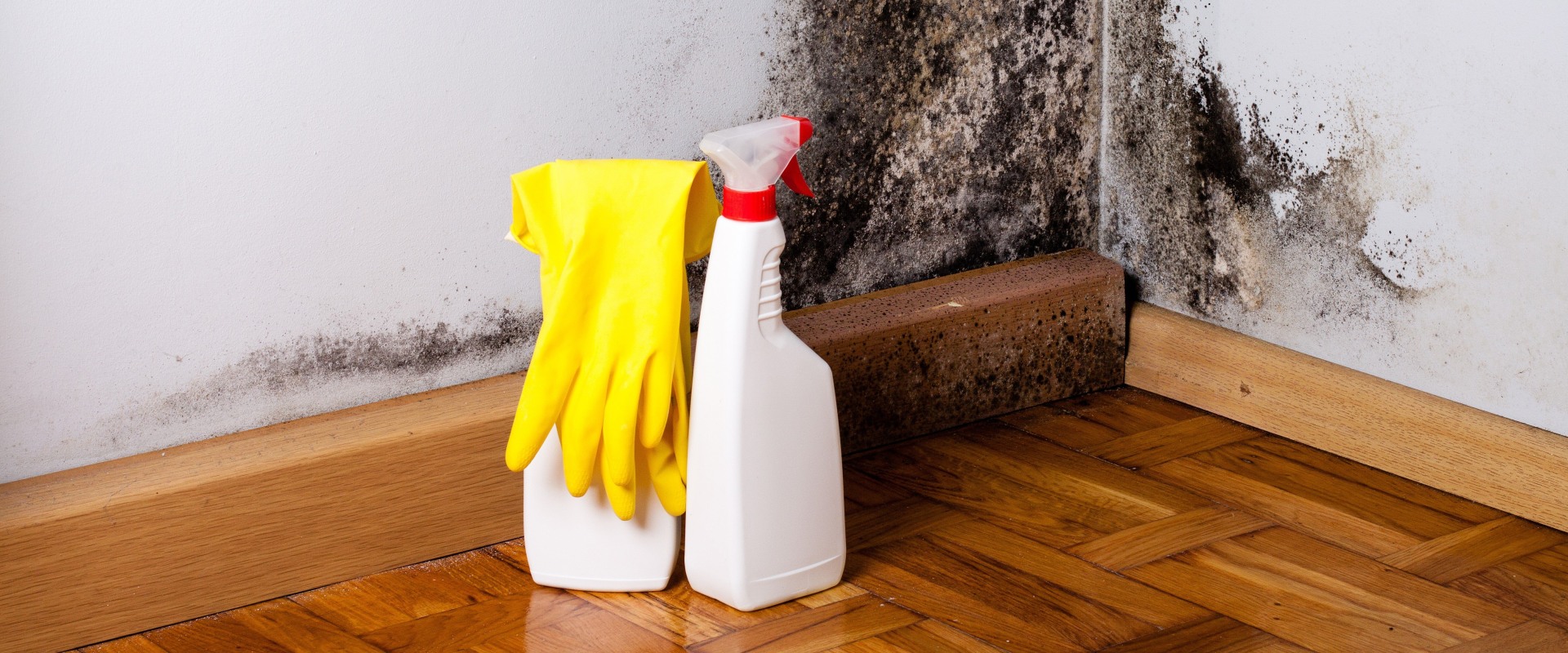 How long does it take to get rid of mold in a house?