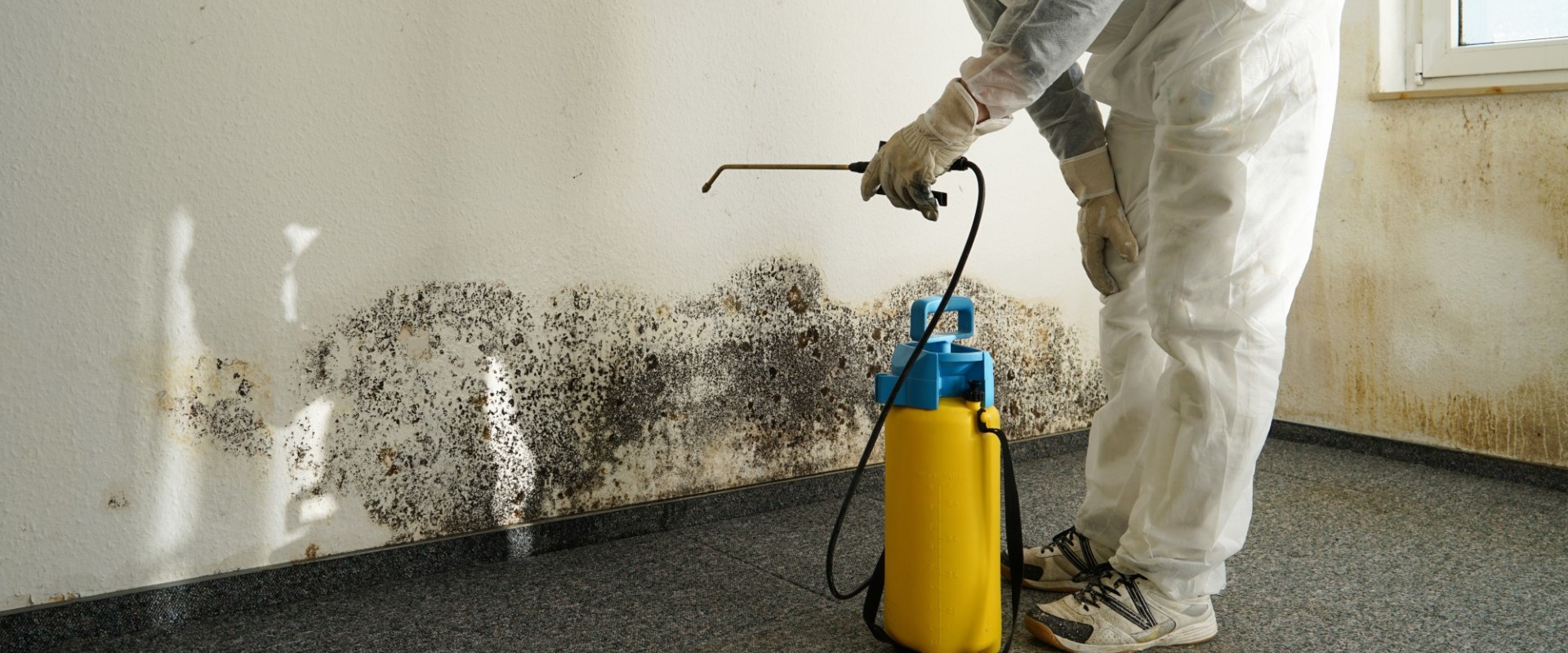 What Type of Equipment is Used for Mold Remediation?