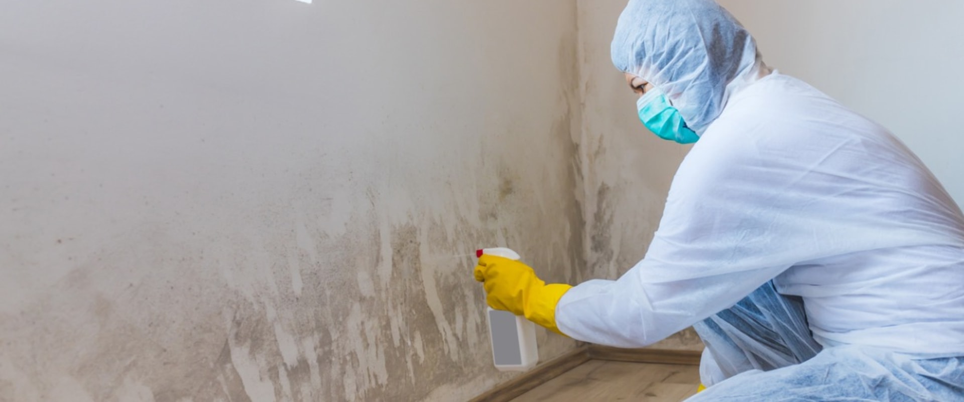 What is the Cost of a Mold Remediation Project?