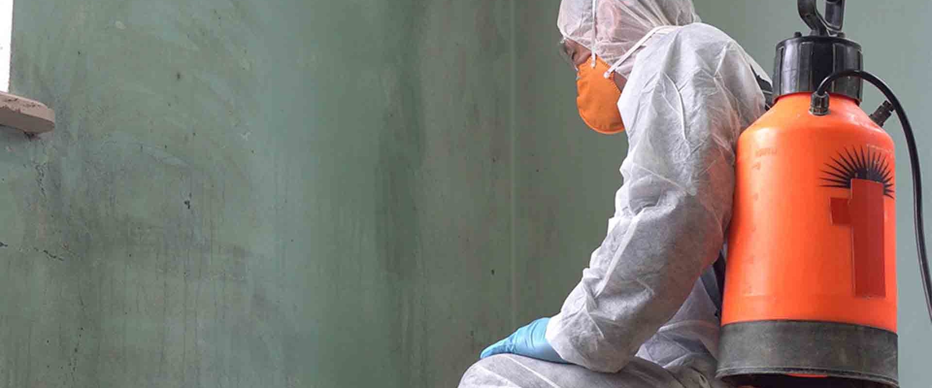 What Personal Protective Equipment is Needed for Mold Removal?