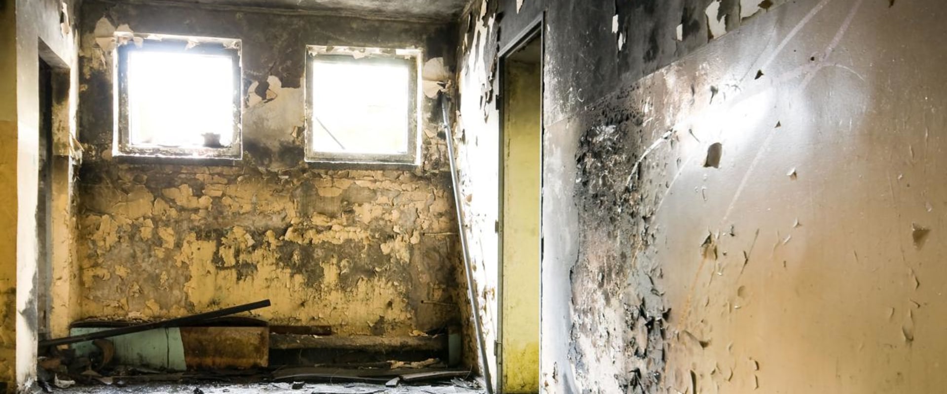 Can cleaning black mold make you sick?