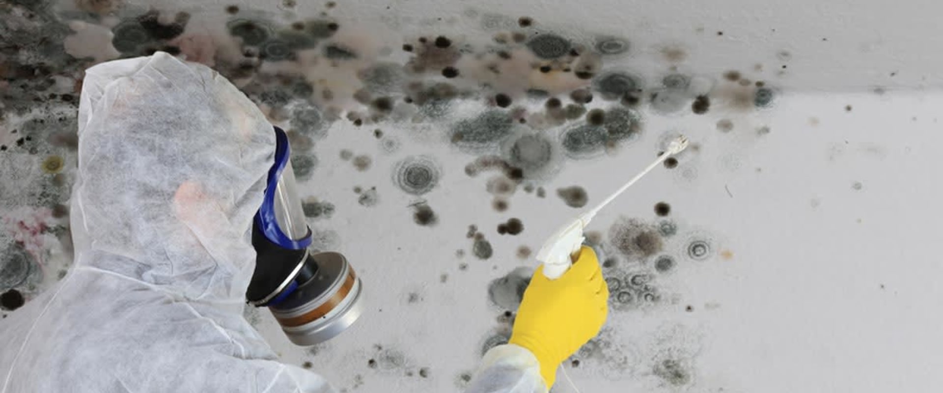 Do you need a license for mold remediation in georgia?