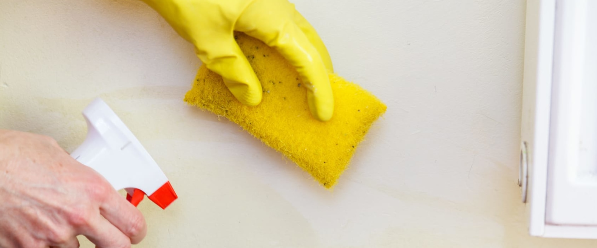 Should I Stay Home During Mold Remediation?