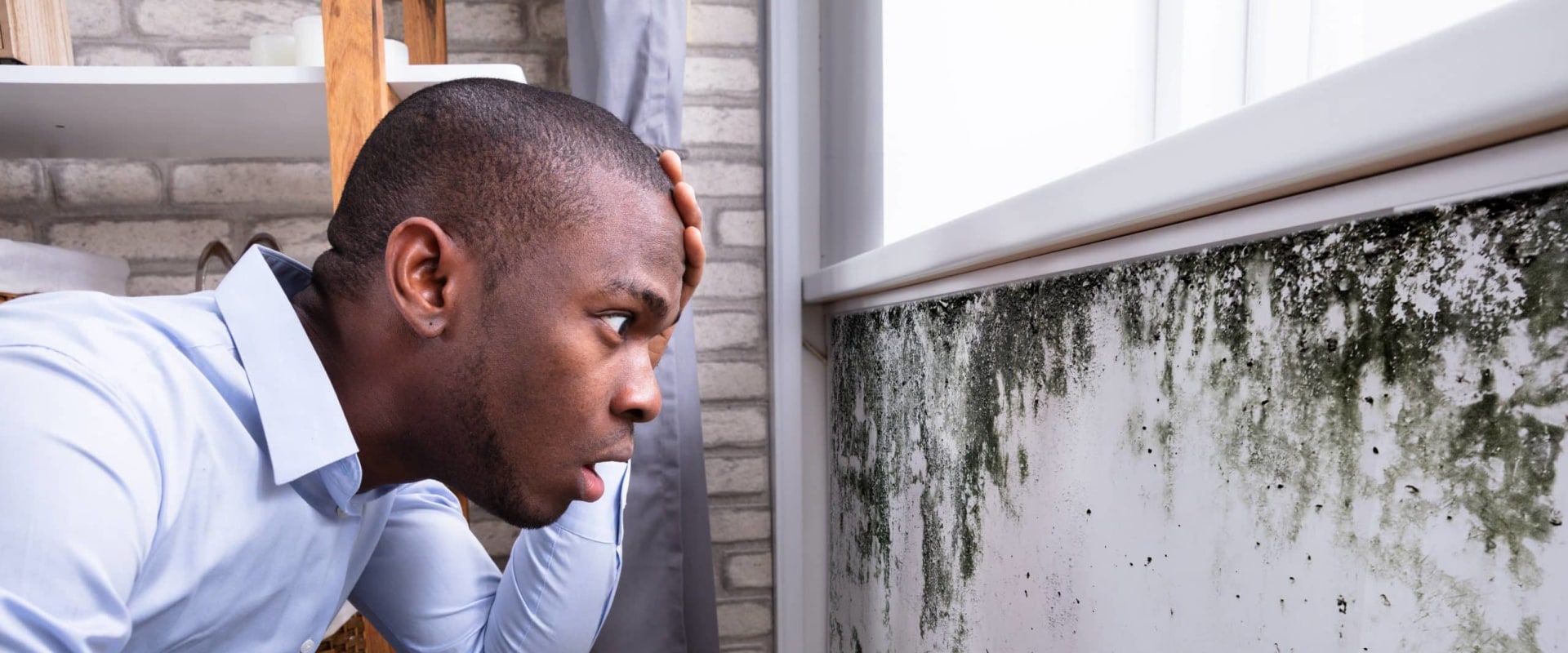Is it Safe to Stay in a House with Mold?