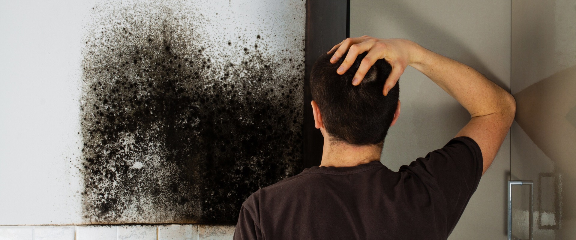 Is Mold Remediation Toxic? A Comprehensive Guide
