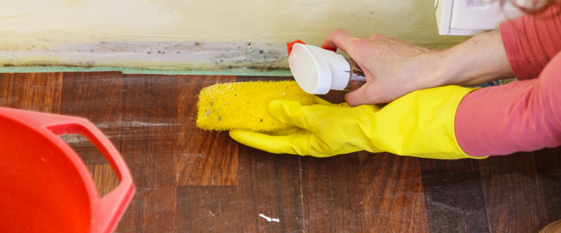 How to Get Rid of Mold from Walls: A Comprehensive Guide