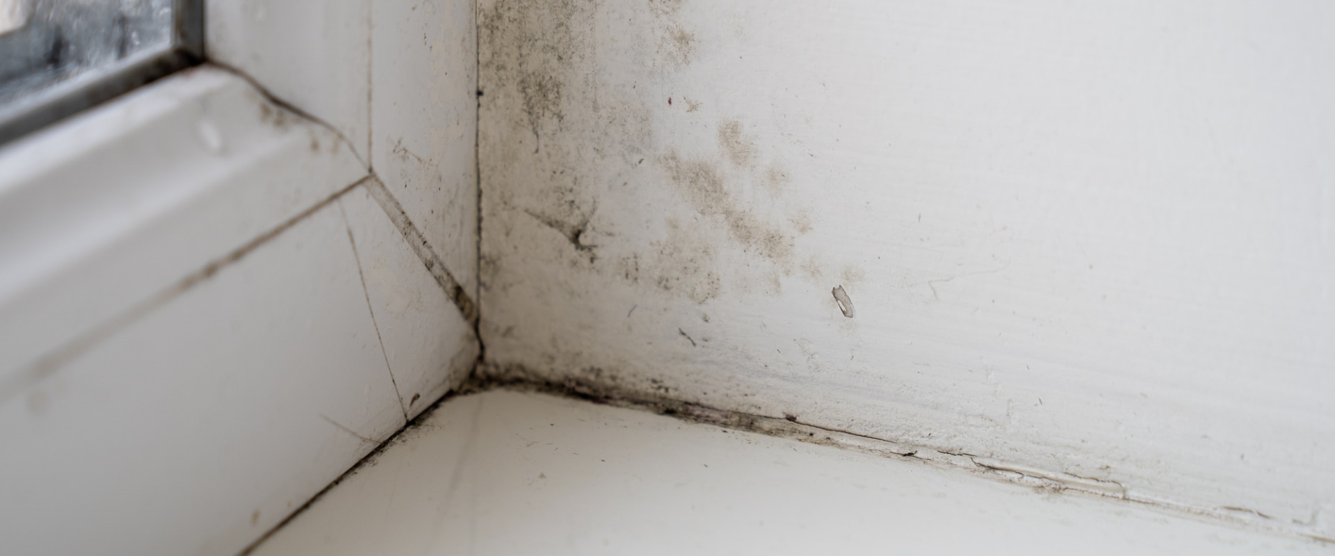 How do you test if mold is making you sick?