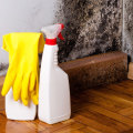 How long does it take to get rid of mold in a house?