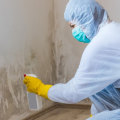 What is the Cost of a Mold Remediation Project?