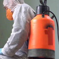 Can Black Mold Be Completely Removed?