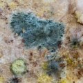 How to Get Rid of Mold Spores in the Air After Cleaning
