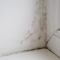 How do you know if mold is making you sick?