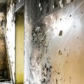 Can cleaning black mold make you sick?