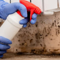 What is the Difference Between Level 1 and Level 2 Mold Remediation?