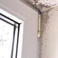 Can Mold Travel Through Air Vents? - An Expert's Perspective