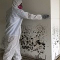 What are the key steps for mold remediation?