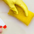 Should You Leave During Mold Remediation?