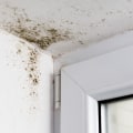 What is mold exclusion liability?
