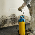 What Do Professional Mold Remediators Use to Eliminate Mold?