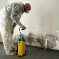 What equipment is needed for mold remediation?