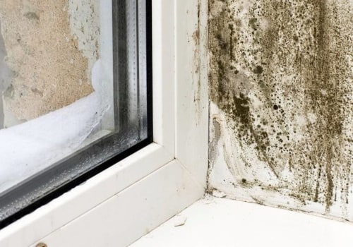What Are the Dangers of Sleeping in a House with Mold?