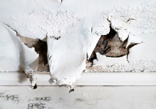 How do you tell if black mold is making you sick?