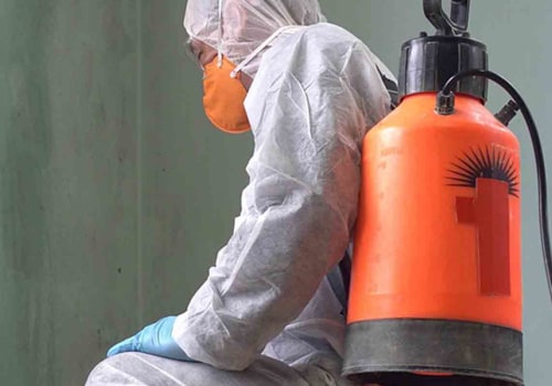 What Personal Protective Equipment is Needed for Mold Removal?