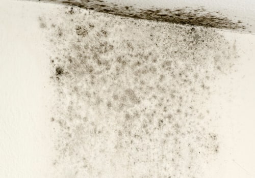 What do professionals use to clean black mold?