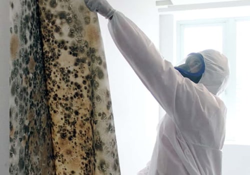 How to Clean Walls After Mold Remediation