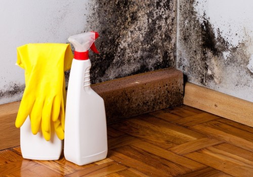 Getting Rid of Mold Spores on Walls