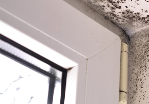 How to Tell if Mold Remediation is Effective