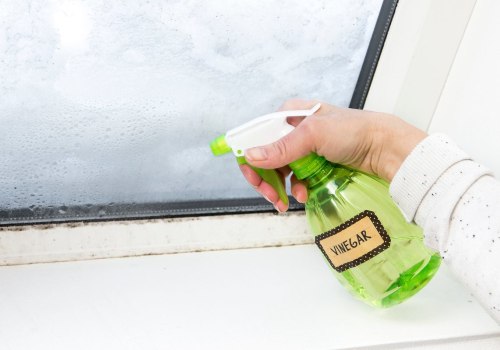 Which is Better to Kill Mold: Bleach or Vinegar?