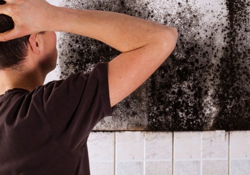 Can mold spread through the whole house?