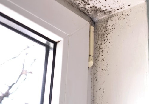 Can Mold Travel Through Air Vents? - An Expert's Perspective