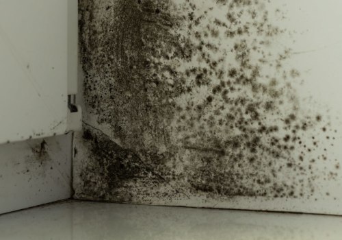 Is landlord responsible for mold in florida?