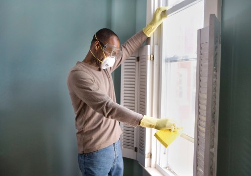 What should i wear when cleaning black mold?