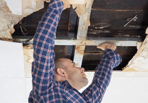 Do you need a license for mold remediation in maryland?