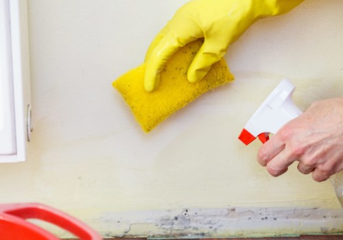 Should I Stay Home During Mold Remediation?