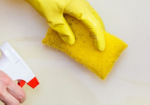 Should You Leave During Mold Remediation?