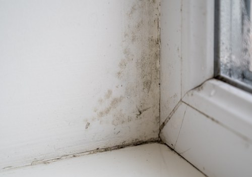 How do you test if mold is making you sick?