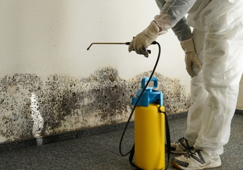 What Do Professional Mold Remediators Use to Eliminate Mold?