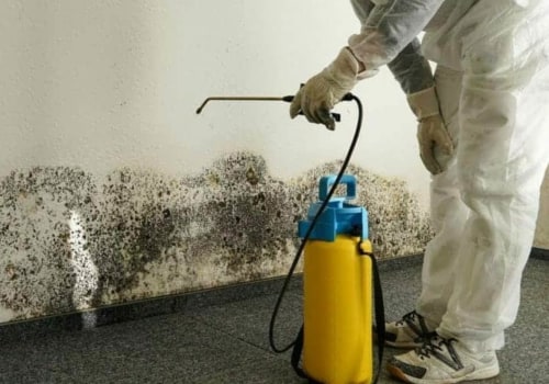 What do professional mold removers use?